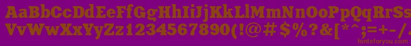 UkrainianxeniaBold Font – Brown Fonts on Purple Background