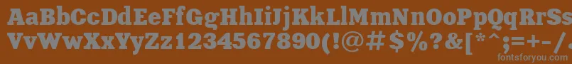 UkrainianxeniaBold Font – Gray Fonts on Brown Background