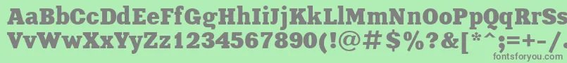 UkrainianxeniaBold Font – Gray Fonts on Green Background