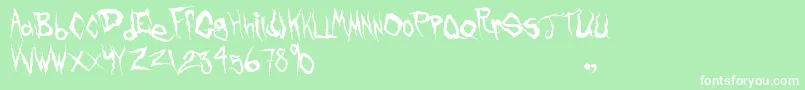 FrankKnows Font – White Fonts on Green Background