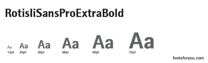RotisIiSansProExtraBold Font Sizes