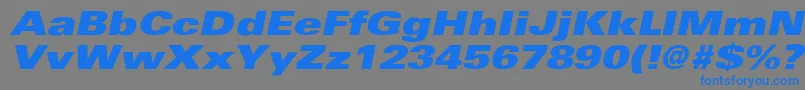 More about UniversExtrablackextobl Font UniversExtrablackextobl Font – Blue Fonts on Gray Background