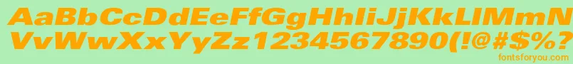 UniversExtrablackextobl Font – Orange Fonts on Green Background