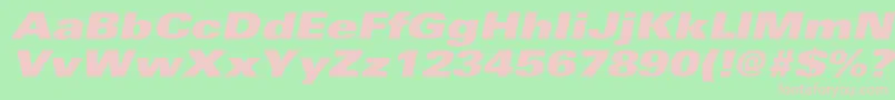 UniversExtrablackextobl Font – Pink Fonts on Green Background