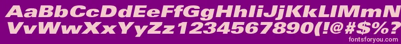 UniversExtrablackextobl Font – Pink Fonts on Purple Background