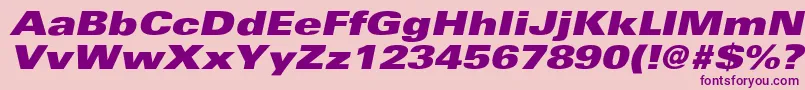 UniversExtrablackextobl Font – Purple Fonts on Pink Background