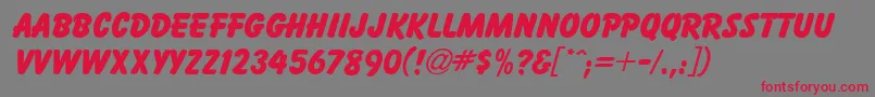 BaltikdbBold Font – Red Fonts on Gray Background