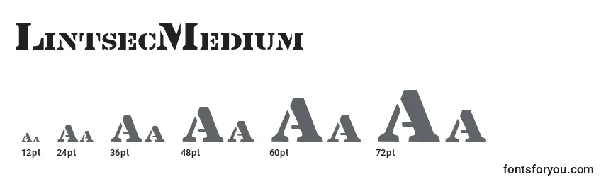 LintsecMedium Font Sizes