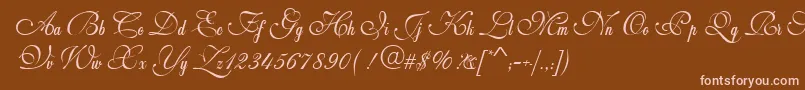 More about WeddingScriptBail Font WeddingScriptBail Font – Pink Fonts on Brown Background