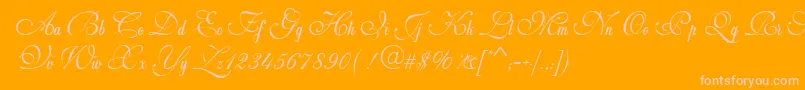 More about WeddingScriptBail Font WeddingScriptBail Font – Pink Fonts on Orange Background