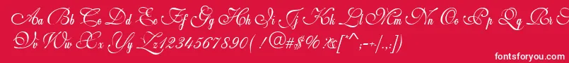 Шрифт WeddingScriptBail – белые шрифты на красном фоне