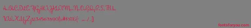 Dorisday Font – Red Fonts on Gray Background