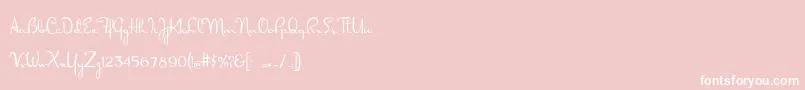Dorisday Font – White Fonts on Pink Background