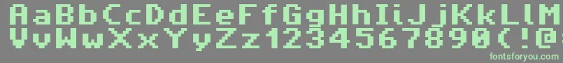 AmigaForeverPro Font – Green Fonts on Gray Background