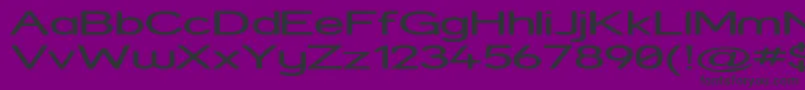 StreetExpanded Font – Black Fonts on Purple Background