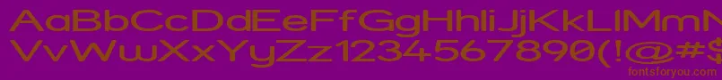 StreetExpanded Font – Brown Fonts on Purple Background