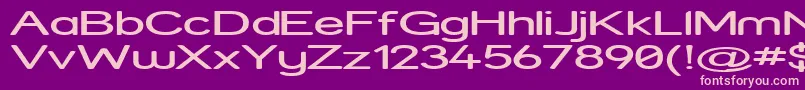 StreetExpanded Font – Pink Fonts on Purple Background