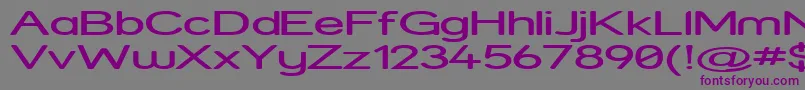 StreetExpanded Font – Purple Fonts on Gray Background