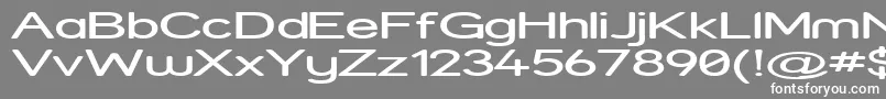 StreetExpanded Font – White Fonts on Gray Background