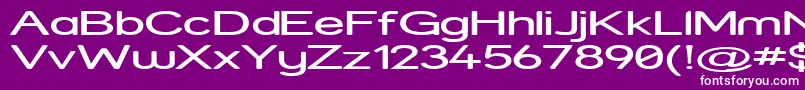 StreetExpanded Font – White Fonts on Purple Background
