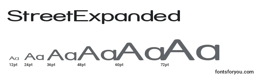 StreetExpanded Font Sizes
