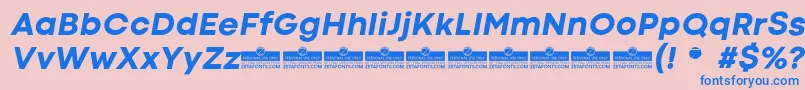 CodecColdExtraboldItalicTrial Font – Blue Fonts on Pink Background