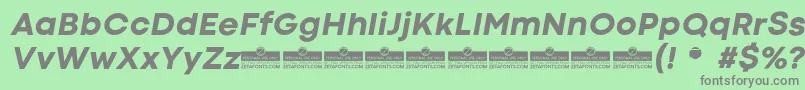 CodecColdExtraboldItalicTrial Font – Gray Fonts on Green Background