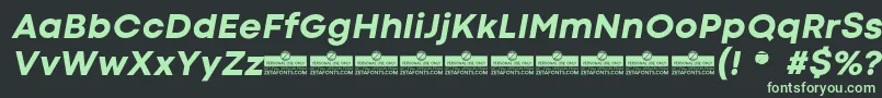 CodecColdExtraboldItalicTrial Font – Green Fonts on Black Background