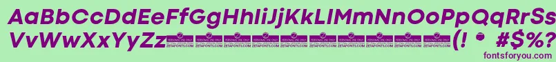 CodecColdExtraboldItalicTrial Font – Purple Fonts on Green Background