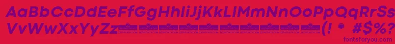 CodecColdExtraboldItalicTrial Font – Purple Fonts on Red Background