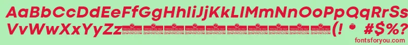 CodecColdExtraboldItalicTrial Font – Red Fonts on Green Background