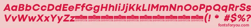 CodecColdExtraboldItalicTrial Font – Red Fonts on Pink Background