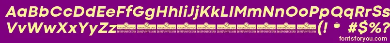 CodecColdExtraboldItalicTrial Font – Yellow Fonts on Purple Background