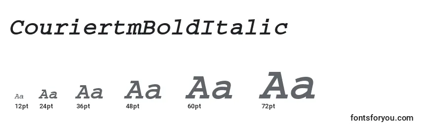 Размеры шрифта CouriertmBoldItalic