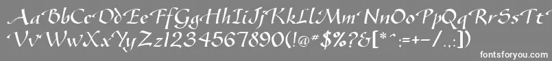 SonyannaScriptSsi Font – White Fonts on Gray Background