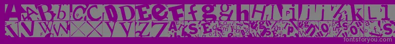 Lettersoupmainz Font – Gray Fonts on Purple Background