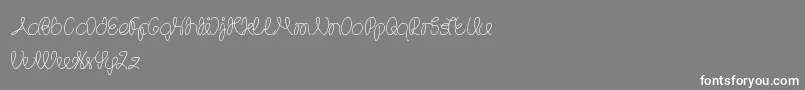TheWizard-Schriftart – Weiße Schriften auf grauem Hintergrund