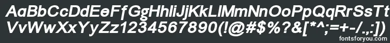 Шрифт ErUnivers866BoldItalic – белые шрифты на чёрном фоне