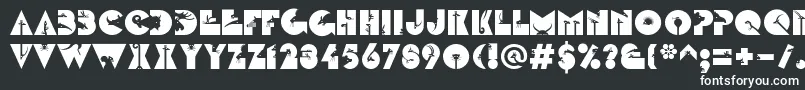 LinotypezootypeLand-Schriftart – Weiße Schriften auf schwarzem Hintergrund