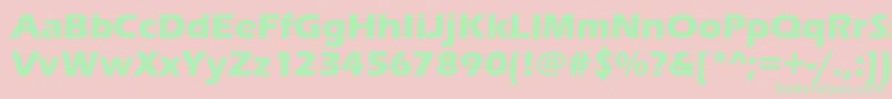 ErasitcteeBold-Schriftart – Grüne Schriften auf rosa Hintergrund