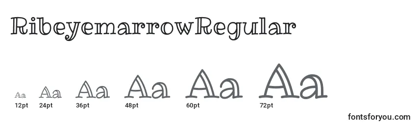 Размеры шрифта RibeyemarrowRegular