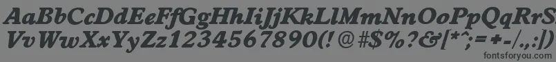 フォントWorcesterserialHeavyItalic – 黒い文字の灰色の背景