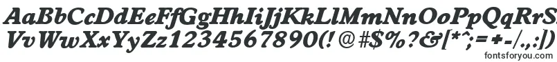 WorcesterserialHeavyItalic Font – Basic Fonts