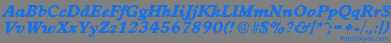 WorcesterserialHeavyItalic Font – Blue Fonts on Gray Background