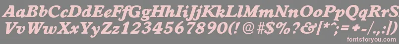 WorcesterserialHeavyItalic Font – Pink Fonts on Gray Background