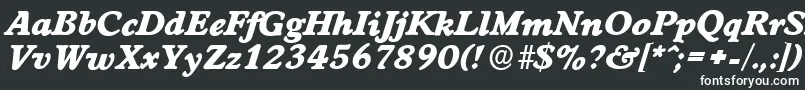 Czcionka WorcesterserialHeavyItalic – białe czcionki