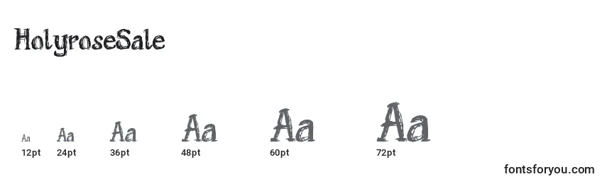 HolyroseSale Font Sizes