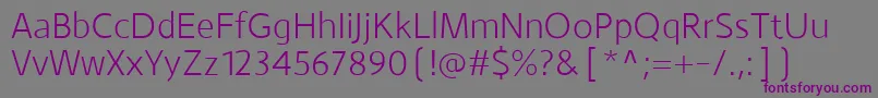 MonsalLight Font – Purple Fonts on Gray Background