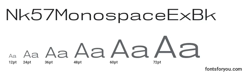 Размеры шрифта Nk57MonospaceExBk