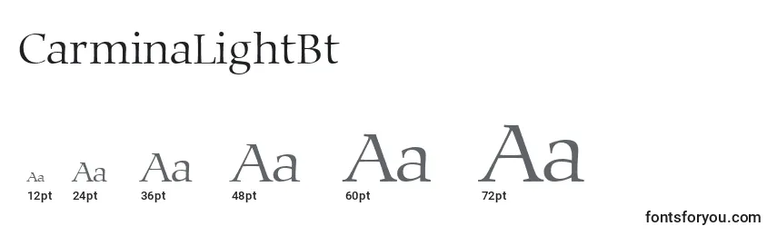 CarminaLightBt Font Sizes